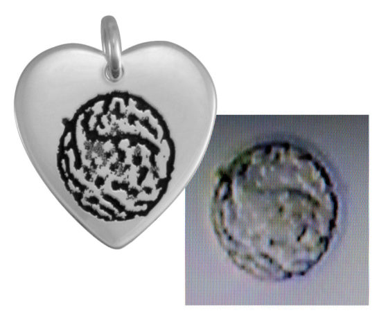 Image of an embryo, enhanced and etched onto a sterling silver heart charm to make a necklace